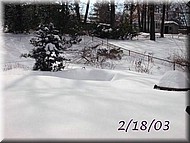 pond-l-18.jpg