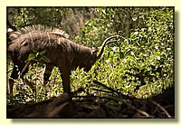 CLICK to enlarge image # 14