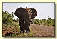 CLICK to enlarge image # 17