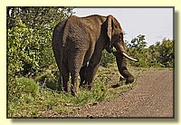 CLICK to enlarge image # 18