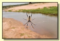 CLICK to enlarge image CRW_8693