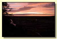 CLICK to enlarge image CRW_8736