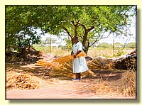 CLICK to enlarge image CRW_8788