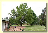 CLICK to enlarge image CRW_8845