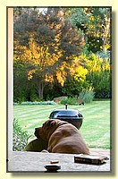 CLICK to enlarge image CRW_8850