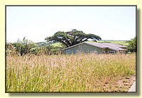 CLICK to enlarge image CRW_9042