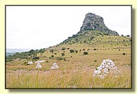 CLICK to enlarge image CRW_9126