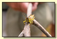 CLICK to enlarge image CRW_9137