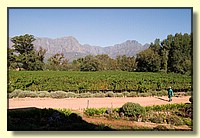 CLICK to enlarge image CRW_9380