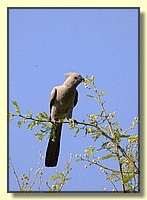 CLICK to enlarge image # 1