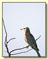 CLICK to enlarge image # 6