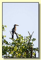 CLICK to enlarge image # 8