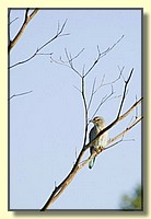CLICK to enlarge image # 9