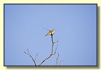 CLICK to enlarge image # 12