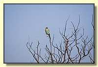 CLICK to enlarge image # 15