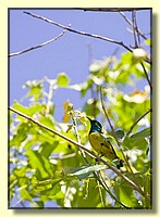 CLICK to enlarge image # 19