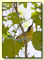 CLICK to enlarge image # 22