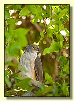 CLICK to enlarge image # 23