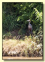 CLICK to enlarge image # 24