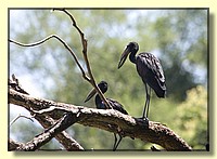 CLICK to enlarge image # 25