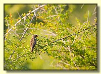 CLICK to enlarge image # 32