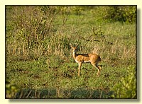 CLICK to enlarge image # 34