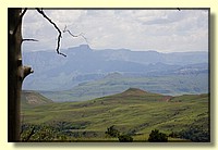 CLICK to enlarge image # 217