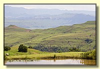 CLICK to enlarge image # 219