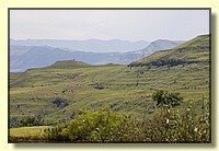 CLICK to enlarge image # 220