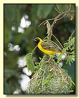 CLICK to enlarge image # 15