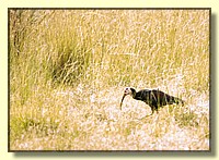 CLICK to enlarge image # 18