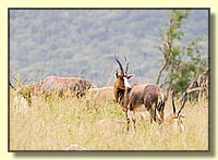 CLICK to enlarge image # 17