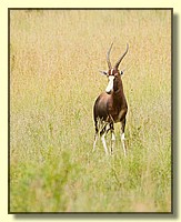 CLICK to enlarge image # 20