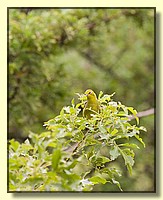 CLICK to enlarge image # 26