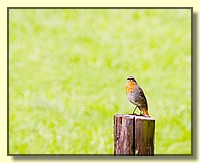 CLICK to enlarge image # 33