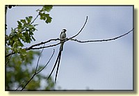 CLICK to enlarge image # 51