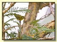 CLICK to enlarge image # 31