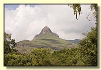 CLICK to enlarge image # 68