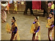 CLICK to enlarge image and start slideshow.

Image ID: DSCN6830