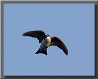 CLICK to enlarge image # 3