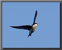 CLICK to enlarge image # 5