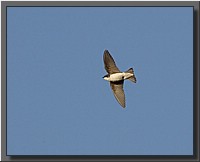 CLICK to enlarge image # 11