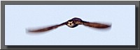 CLICK to enlarge image # 6