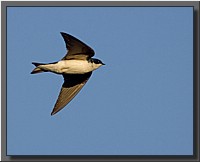 CLICK to enlarge image # 8