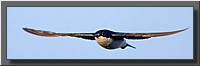 CLICK to enlarge image # 1