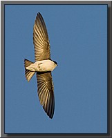 CLICK to enlarge image # 2