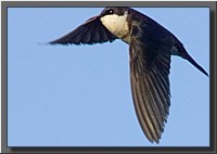 CLICK to enlarge image # 9