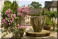 CLICK to enlarge image

Image ID: 090604CRW_2487