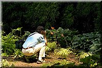 CLICK to enlarge image

Image ID: 090604CRW_2500