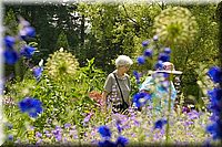 CLICK to enlarge image

Image ID: 090604CRW_2503